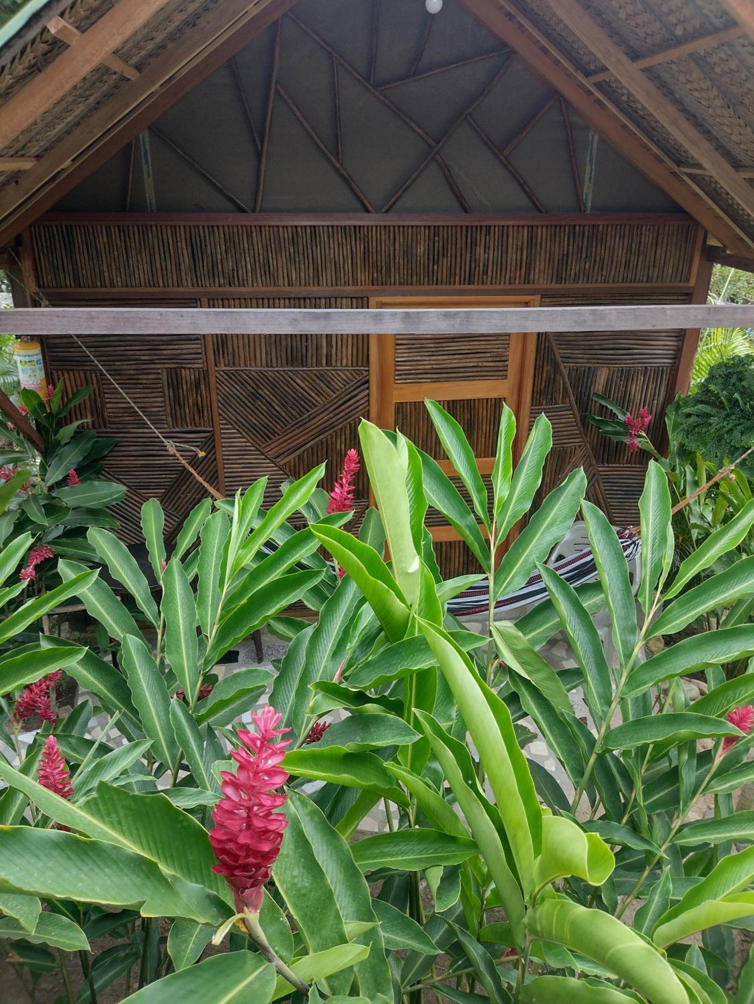 Casa Kumake Tayrona Villa El Zaino Exteriör bild