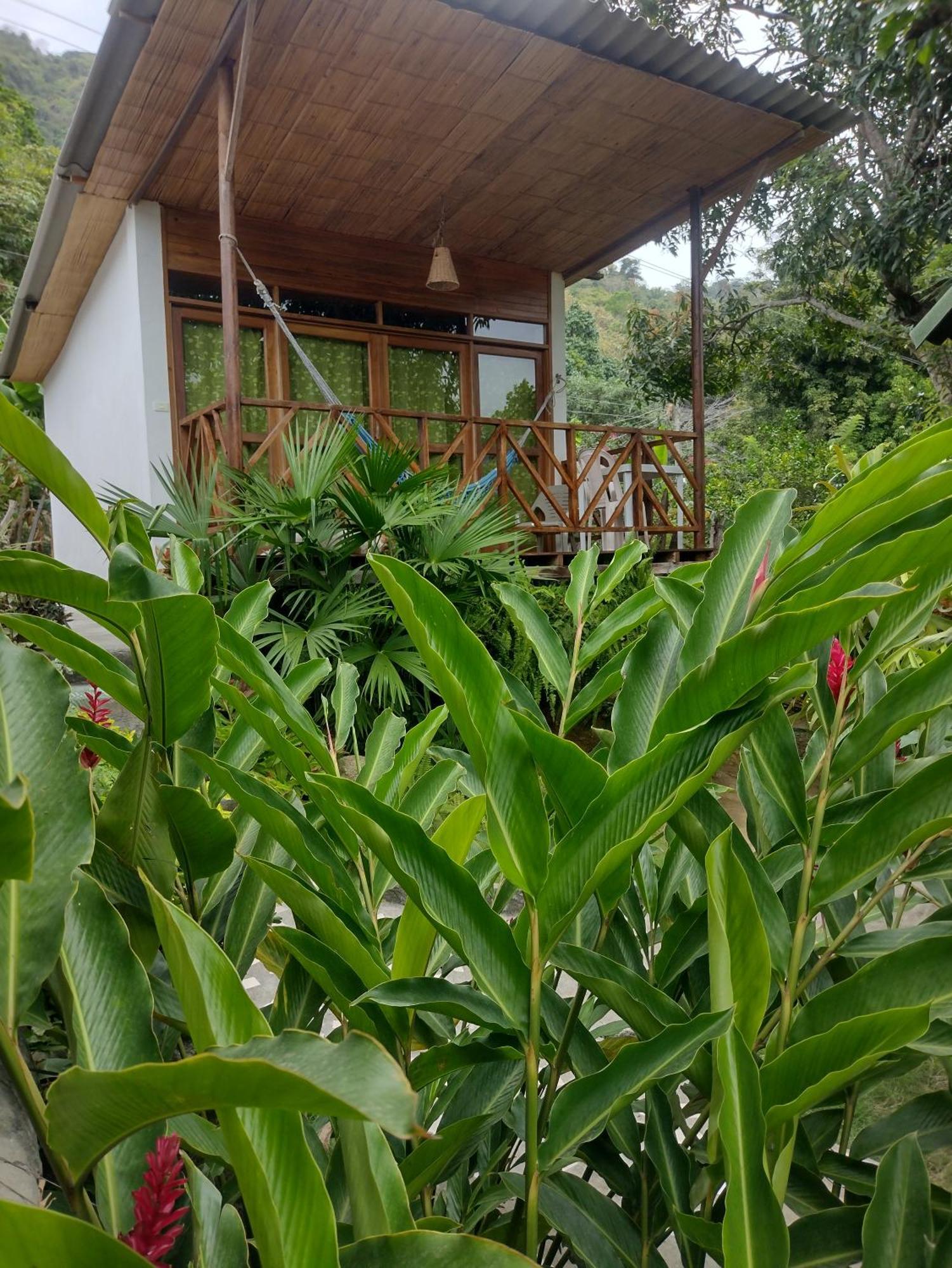Casa Kumake Tayrona Villa El Zaino Exteriör bild