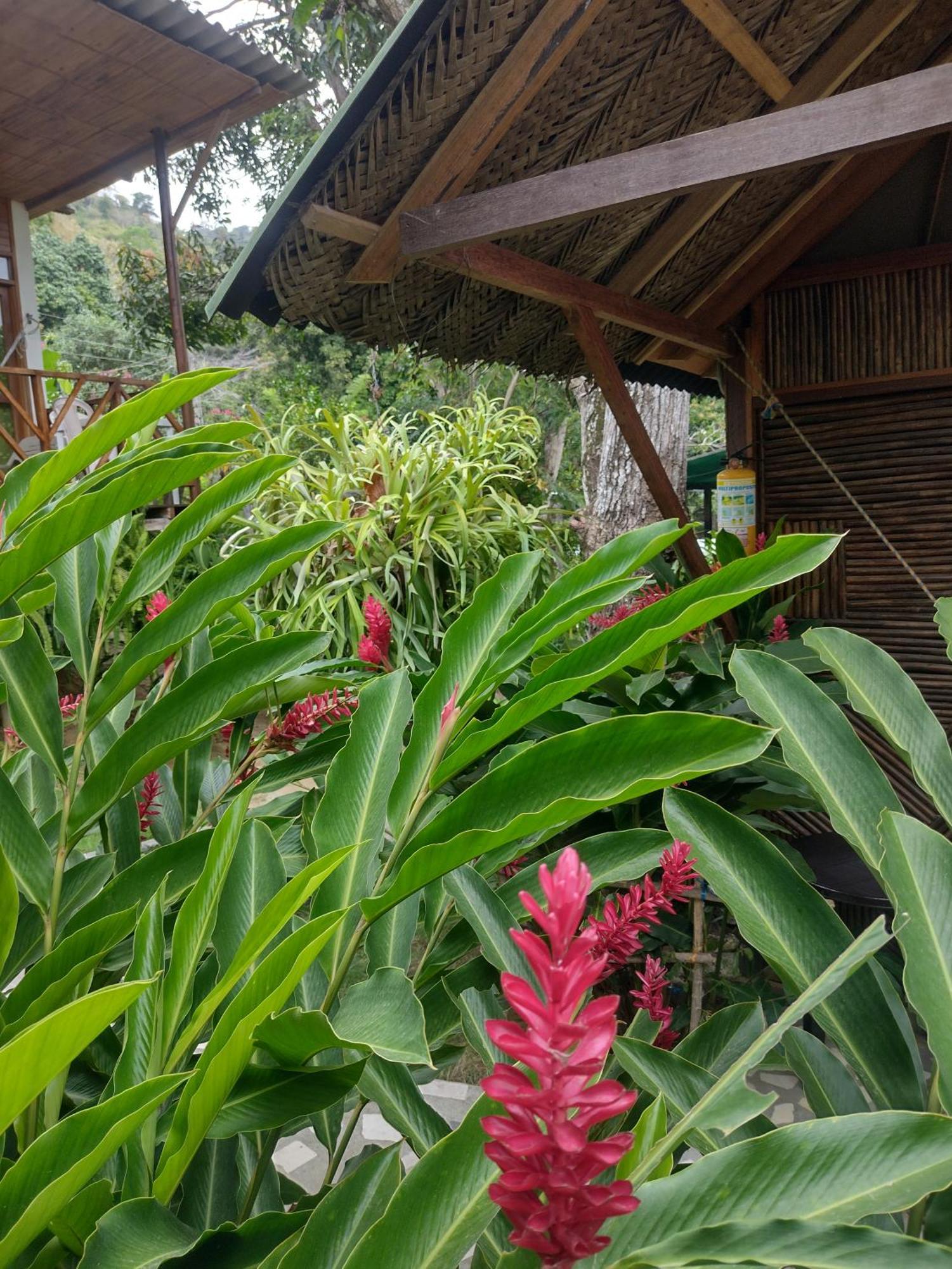 Casa Kumake Tayrona Villa El Zaino Exteriör bild